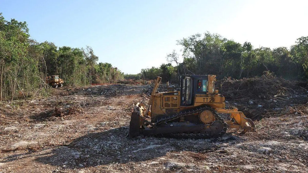 Aceptan ambientalistas diálogo con AMLO para aclarar dudas del Tren Maya